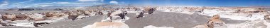 Puna de Atacama, Arjantin 'deki sünger taşı tarlası.