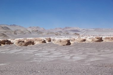 Puna de Atacama, Arjantin 'deki sünger taşı tarlası.