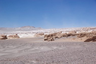 Puna de Atacama, Arjantin 'deki sünger taşı tarlası.