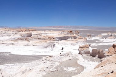 Puna de Atacama, Arjantin 'deki sünger taşı tarlası.