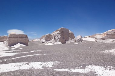 Puna de Atacama, Arjantin 'deki sünger taşı tarlası.