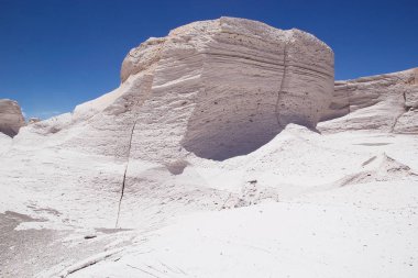 Puna de Atacama, Arjantin 'deki sünger taşı tarlası.