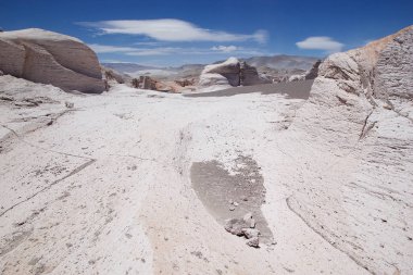 Puna de Atacama, Arjantin 'deki sünger taşı tarlası.