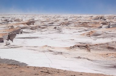Puna de Atacama, Arjantin 'deki sünger taşı tarlası.