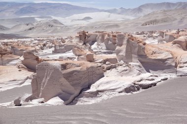 Puna de Atacama, Arjantin 'deki sünger taşı tarlası.