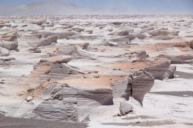 Puna de Atacama, Arjantin 'deki sünger taşı tarlası.