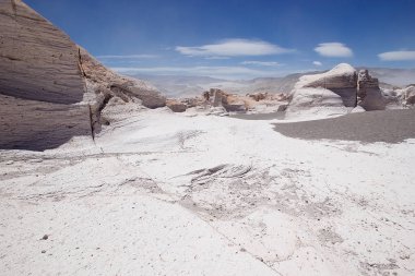 Puna de Atacama, Arjantin 'deki sünger taşı tarlası.