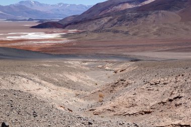 Antofalla 'lı Salar Puna de Atacama, Arjantin' de. Puna de Atacama, Şili ve Arjantin 'in kuzeyindeki And Dağları' nda bulunan kurak bir platodur. Arjantin 'in Puna bölgesi Salta, Jujuy ve Catamarca illerine genişletilmiştir.