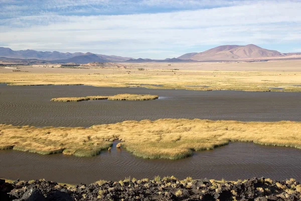 Laguna Pobliżu Pucara Alumbrera Argentyna Puna Atacama Suchy Płaskowyż Andach — Zdjęcie stockowe