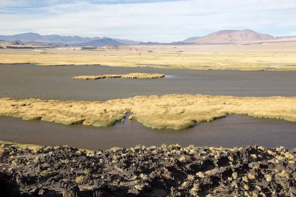 Laguna Pobliżu Pucara Alumbrera Argentyna Puna Atacama Suchy Płaskowyż Andach — Zdjęcie stockowe