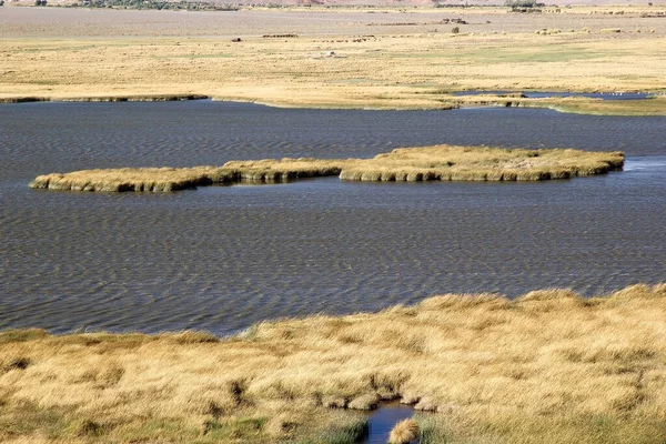 Laguna Vicino Pucara Alumbrera Argentina Puna Atacama Arido Altopiano Delle — Foto Stock