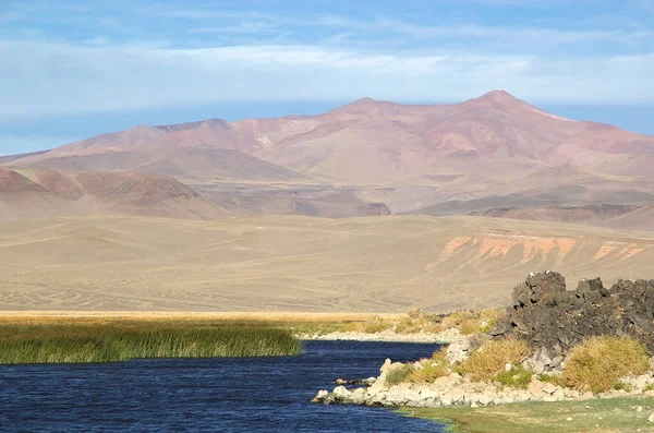 Λιμνοθάλασσα Κοντά Στην Pucara Alumbrera Αργεντινή Puna Atacama Είναι Ένα — Φωτογραφία Αρχείου