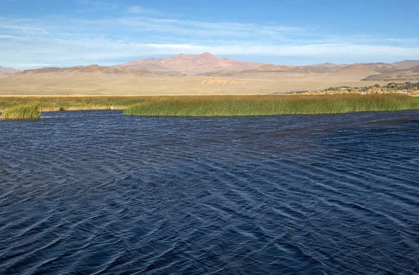 Lagune Bij Pucara Alumbrera Argentinië Puna Atacama Een Hoogplateau Andes — Stockfoto