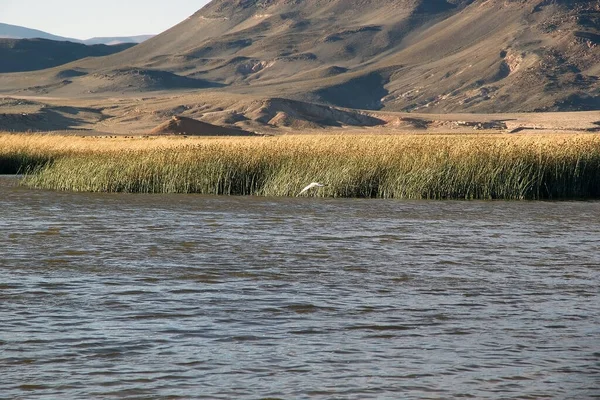 阿根廷Pucara Alumbrera附近的泻湖 阿塔卡马角 Puna Atacama 是智利和阿根廷北部安第斯山脉的一个干旱高原 在阿根廷 普纳的领土延伸到萨尔塔省 胡胡胡伊省和卡塔马卡省 — 图库照片