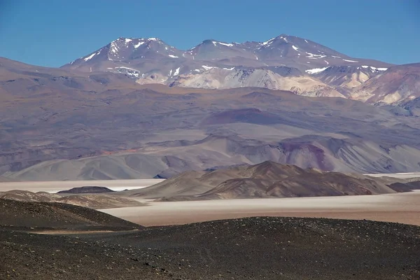 Salar Von Antofalla Der Puna Atacama Argentinien Puna Atacama Ist — Stockfoto