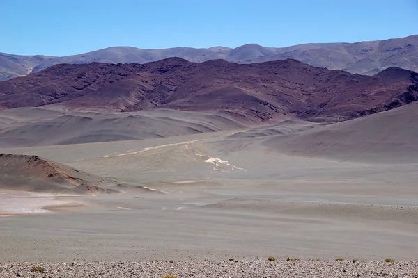 Wynagrodzenie Antofalli Puna Atacama Argentyna Puna Atacama Suchy Płaskowyż Andach — Zdjęcie stockowe