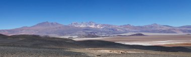 Antofalla 'lı Salar Puna de Atacama, Arjantin' de. Puna de Atacama, Şili ve Arjantin 'in kuzeyindeki And Dağları' nda bulunan kurak bir platodur. Arjantin 'in Puna bölgesi Salta, Jujuy ve Catamarca illerine genişletilmiştir.