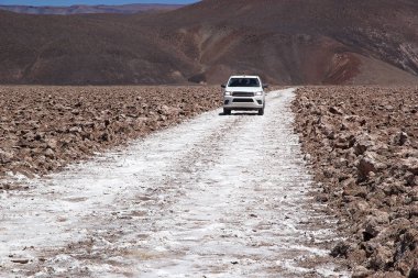 Puna de Atacama, Arjantin 'de Antofalla Salar' ı boyunca ilerleyin. Puna de Atacama, Şili ve Arjantin 'in kuzeyindeki And Dağları' nda bulunan kurak bir platodur. Arjantin 'in Puna bölgesi Salta, Jujuy ve Catamarca illerine genişletilmiştir.
