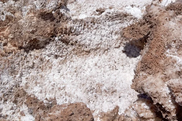 Detalhe Panela Sal Salar Plano Antofalla Puna Atacama Argentina Puna — Fotografia de Stock