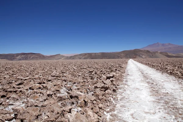 位于阿根廷阿塔卡马角安托福拉平坦的盐锅 阿塔卡马角 Puna Atacama 是智利和阿根廷北部安第斯山脉的一个干旱高原 在阿根廷 普纳的领土延伸到萨尔塔省 胡胡胡伊省和卡塔马卡省 — 图库照片