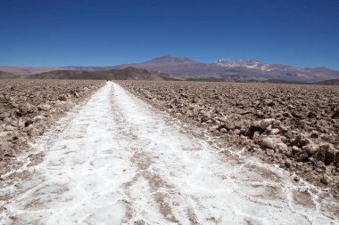 İnsanlar, Arjantin 'in Puna de Atacama kentindeki Antofalla' nın düz Salar 'ındaki tuz tavasında yol boyunca yürüyorlar. Puna de Atacama, Şili ve Arjantin 'in kuzeyindeki And Dağları' nda bulunan kurak bir platodur. Arjantin 'de Puna' nın bölgesi genişletilmiştir.