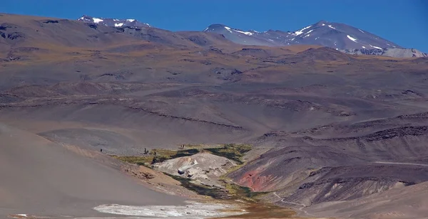 Puna Atacama Arjantin Deki Antofalla Nın Düz Salar Manzarası Puna — Stok fotoğraf