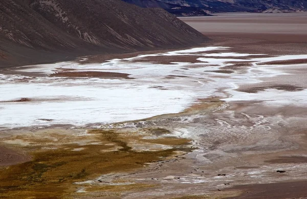 Salar Antofalla Pohled Gejzíru Botijuela Puna Atacama Argentina Antofalla Leží — Stock fotografie