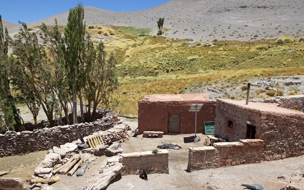 House Geyser Botijuela Antofalla Volcanic Zone Puna Atacama Argentina Antofalla — Stock Photo, Image