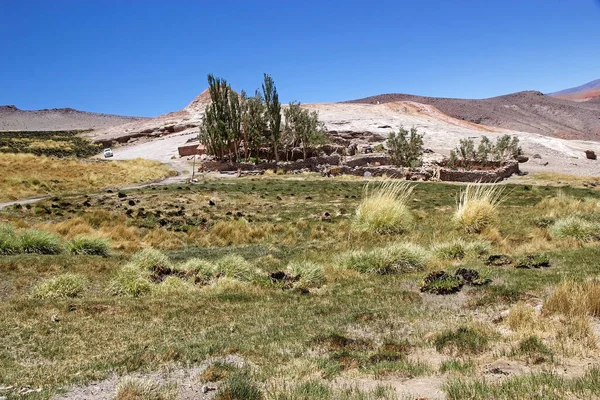 Дом Возле Гейзера Ботихуэлы Вулканической Зоне Антофалла Пуна Атакама Аргентина — стоковое фото