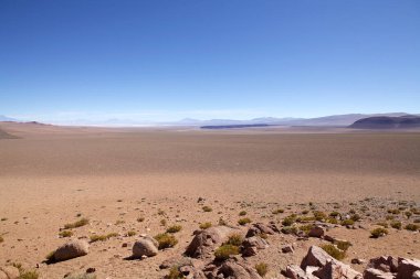 Arjantin, Puna de Atacama 'da Arizaro' lu Salar. Arizarolu Salar, Kuzey-Batı Arjantin 'de And Dağları' nın büyük bir tuz dairesidir ve 1600 kmq 'lık bir alanı kaplar.
