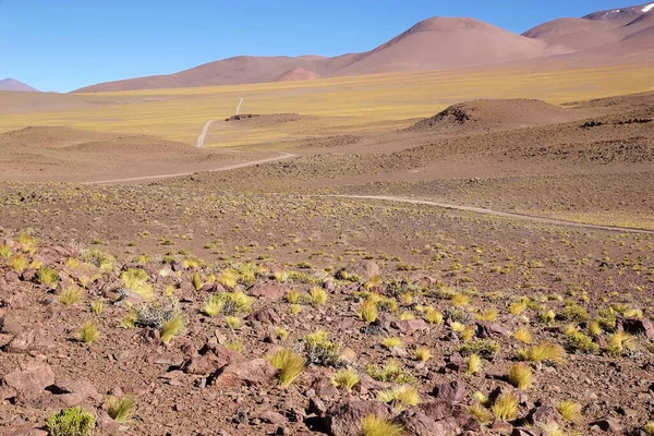 Cesta Salaru Arizaro Puna Atacama Argentině Salar Arizaro Velká Solná — Stock fotografie