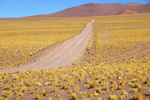 Cesta Salaru Arizaro Puna Atacama Argentině Salar Arizaro Velká Solná — Stock fotografie
