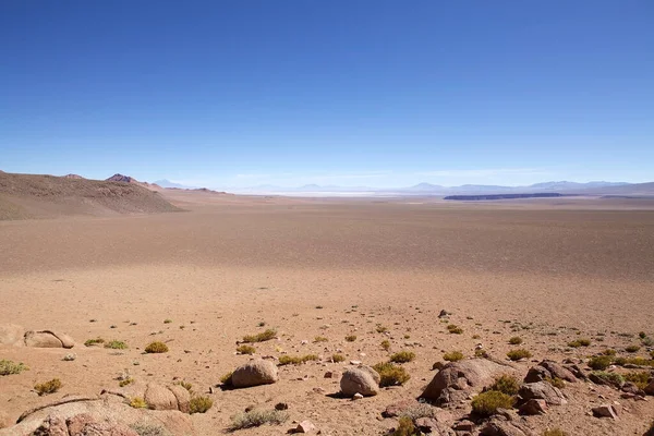 阿根廷阿塔卡马角Arizaro的Salar 阿里萨罗盐滩 Salar Arizaro 是阿根廷西北部安第斯山脉的一个大型盐滩 面积1600公里 — 图库照片