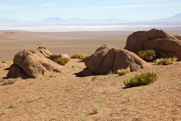 Salar Arizara Puna Atacama Argentině Salar Arizaro Velká Solná Plocha — Stock fotografie