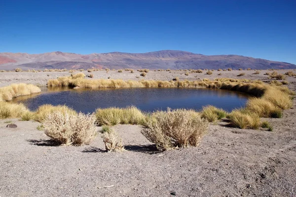 Geyser Ojos Del Campo Στο Salar Antofalla Στο Puna Atacama — Φωτογραφία Αρχείου