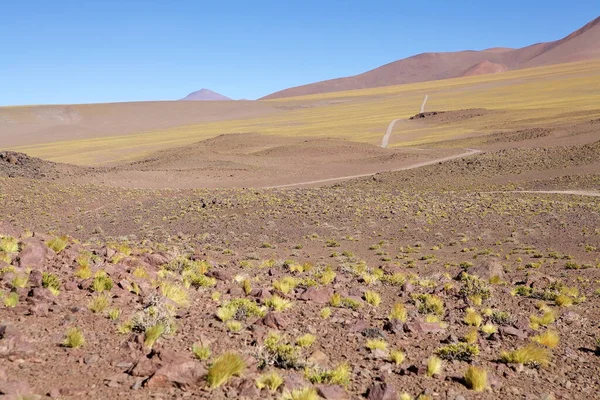 Der Weg Zum Salar Von Arizaro Der Puna Atacama Argentinien — Stockfoto