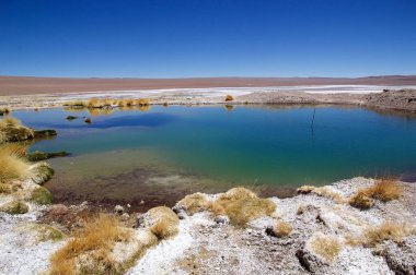Arjantin, Puna de Atacama 'daki Salar de Arizaro' da küçük bir göl. Arizarolu Salar, Kuzey-Batı Arjantin 'de And Dağları' nın büyük bir tuz dairesidir ve 1600 kmq 'lık bir alanı kaplar.