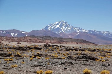 Puna de Atacama, Arjantin 'deki Llullaillaco volkanı. Llullillaco, Arjantin ve Şili sınırında yer alan bir stratovolcano.