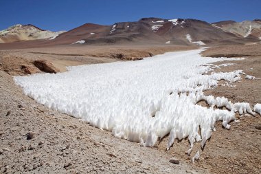 La Casualidad 'dan Arjantin' deki Puna de Atacama 'daki Mina Julia' ya kadar tüm yol boyunca tövbe tarlaları. Tövbe edenler yüksek irtifada bulunan kar formasyonlarıdır. Uzun, ince, sert kar ya da buz kılıçlarının şeklini alırlar, yakın mesafeden ve poi