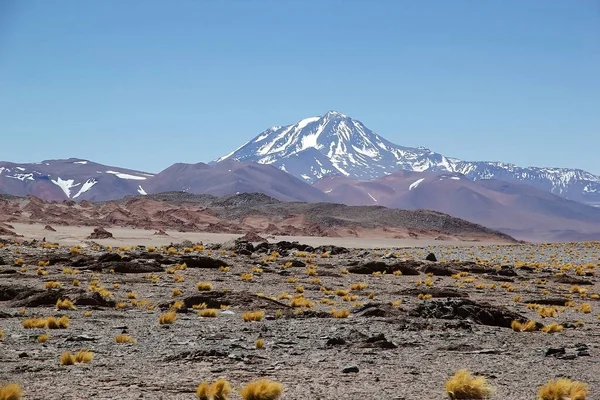 Llullaillaco Volcano Puna Atacama Argentina Llullillaco Stratovolcano Border Argentina Chile — Stock Photo, Image