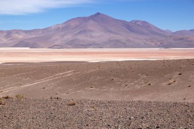 Puna de Atacama 'daki manzara. Arjantin' in arka planında Caraci Pampa volkanı var. Puna de Atacama, Şili ve Arjantin 'in kuzeyindeki And Dağları' nda bulunan kurak bir platodur. Arjantin 'in Puna bölgesi Salta, Jujuy eyaletlerine genişletilmiştir. 