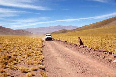 Puna de Atacama, Arjantin 'de Peru tüy çimi, jarava ichu' lu bir araba. Puna de Atacama, Şili ve Arjantin 'in kuzeyindeki And Dağları' nda bulunan kurak bir platodur. Arjantin 'in Puna bölgesi Salta vilayetlerine genişletilmiştir., 