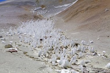 La Casualidad 'dan Arjantin' deki Puna de Atacama 'daki Mina Julia' ya kadar tüm yol boyunca tövbe tarlaları. Tövbe edenler yüksek irtifada bulunan kar formasyonlarıdır. Uzun, ince, sert kar ya da buz kılıçlarının şeklini alırlar, yakın mesafeden ve poi