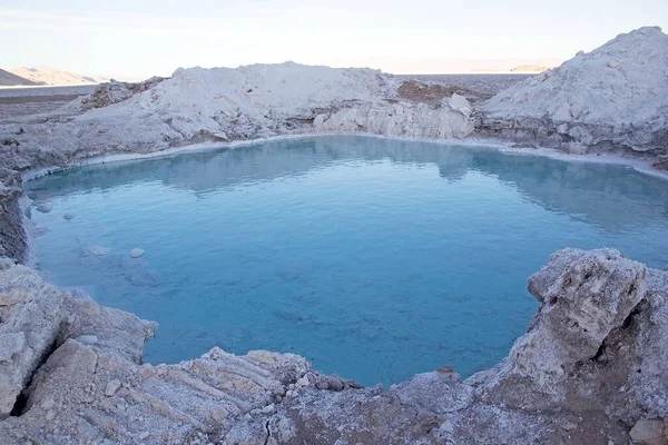 Fleur Sel Een Meertje Provincie Salta Het Noordwesten Van Argentinië — Stockfoto