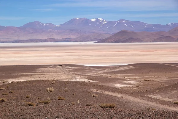 Landscape Puna Atacama Volcano Caraci Pampa Background Argentina Puna Atacama — Stock Photo, Image