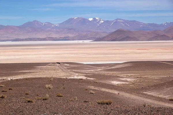 アルゼンチンの背景にカラチ パンパ火山とプナ アタカマの風景 アタカマ Puna Atacama はチリ北部とアルゼンチンのアンデス山脈にある乾燥した高原である アルゼンチンでプナの領土はサルタ 7月の州で拡張されています ストックフォト