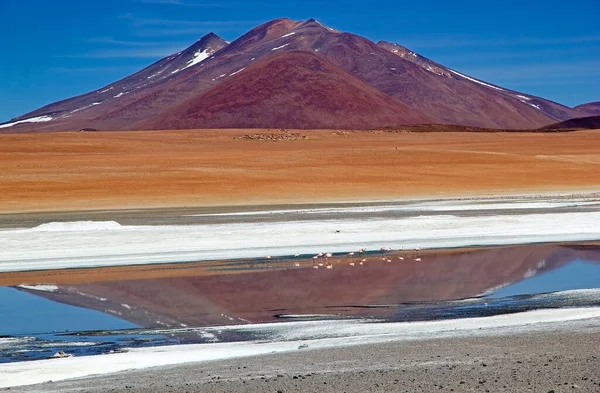 アルゼンチンを背景にカラチ パンパ火山とプナ アタカマで火山Inchahuasiとサンタマリアラグーン アタカマ Puna Atacama はチリ北部とアルゼンチンのアンデス山脈にある乾燥した高原である アルゼンチンでプナの領土が拡張されました — ストック写真