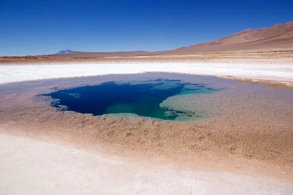 Ojos Mar Sluit Stad Tolar Grande Puna Argentinië Ojos Mar — Stockfoto