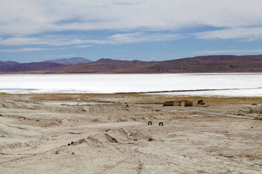 Puna, Salta, Arjantin 'deki Salar Pastos Grandes' de Pastos Grandes 'in sahibi. Milenyum şirketi, Pastos Grandes 'te bir lityum projesi için keşif ve geliştirme çalışmalarına yatırım yaptı.