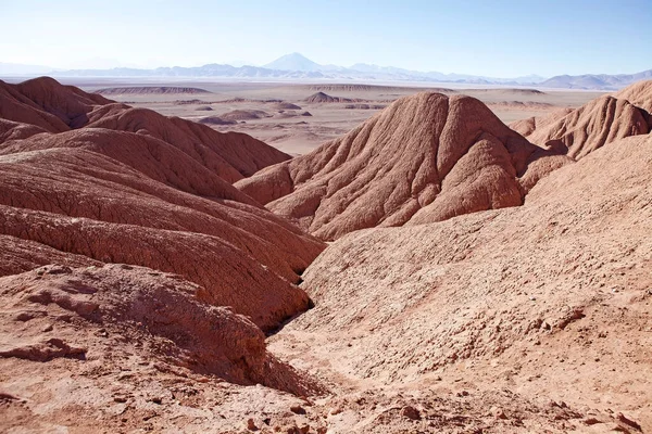 Landskap Nära Byn Tolar Grande Provinsen Salta Nordvästra Argentina Det — Stockfoto